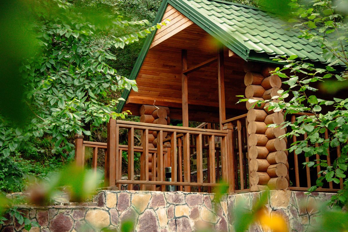 Dian Fossey Gorilla Sanctuary