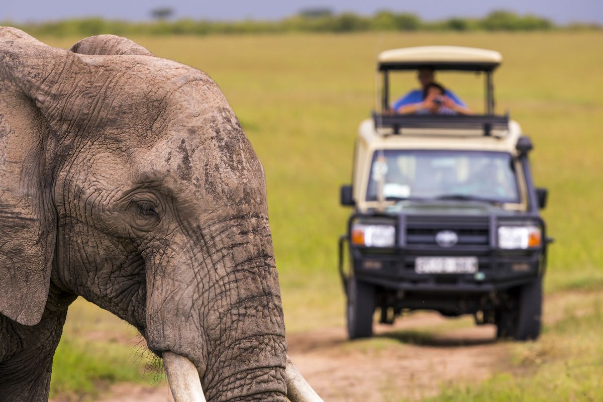 Nairobi National Park Safari Tour