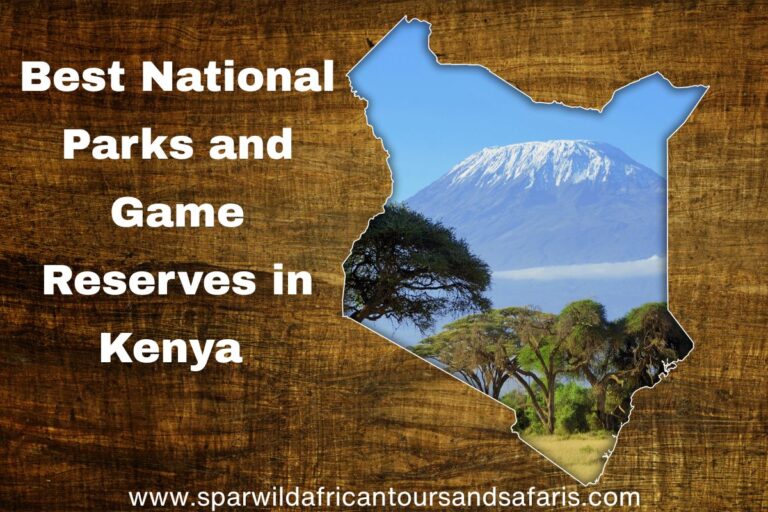 Best National Parks and Game Reserves in Kenya You Must Visit