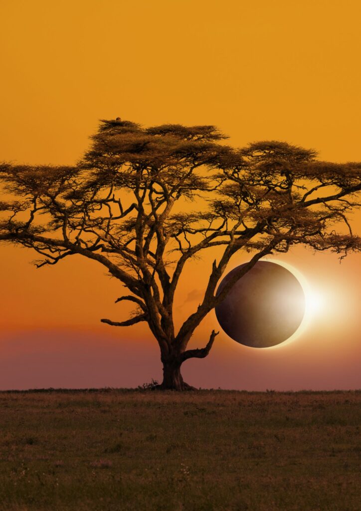 Best Tour Operator in Kenya - Sparwild Photographic Safaris