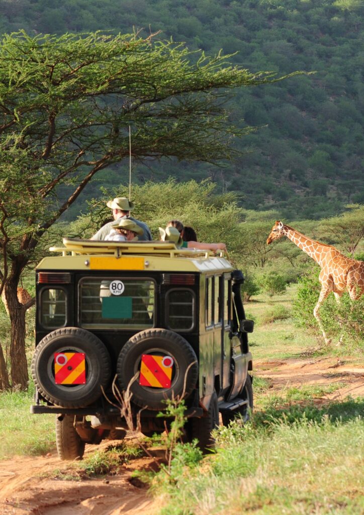 Best Tour Operator in Kenya - Sparwild Group Safaris