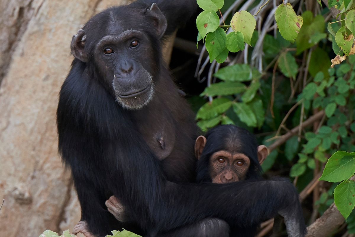 Best Tour Operator in Kenya