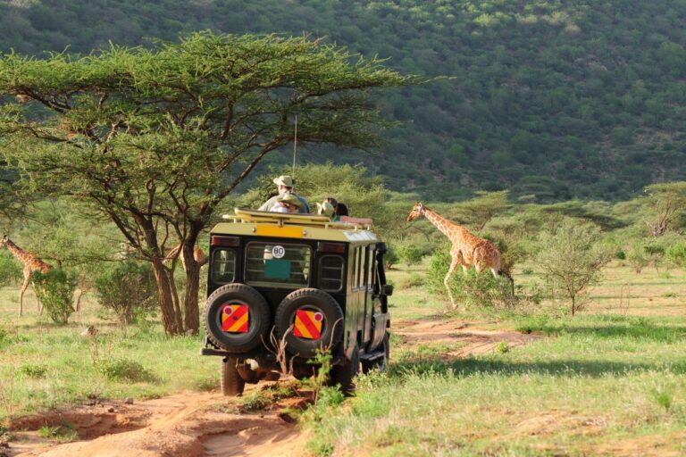 Best Kenya Safari Guide
