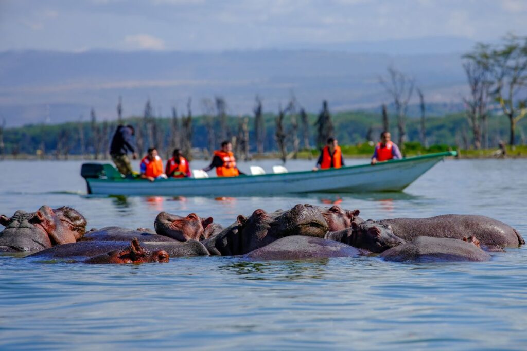 Lake Naivasha Wildlife