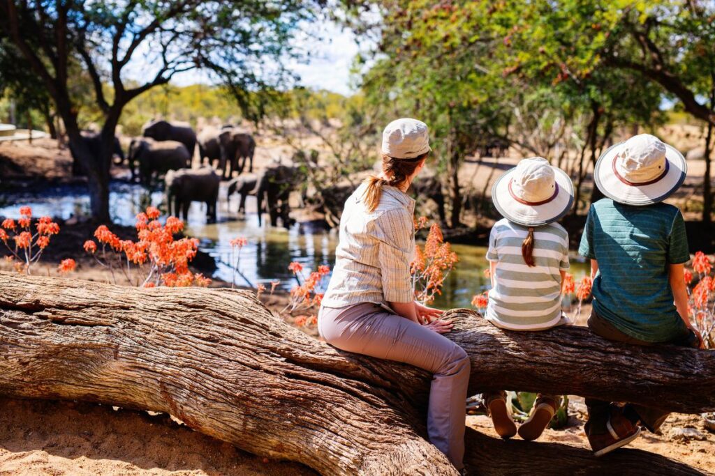 2025/2026/2027 Top Family Friendly Safari Packages