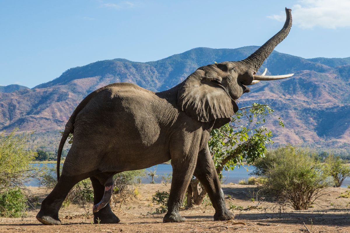 SPARWILD AFRICAN TOURS AND SAFARIS