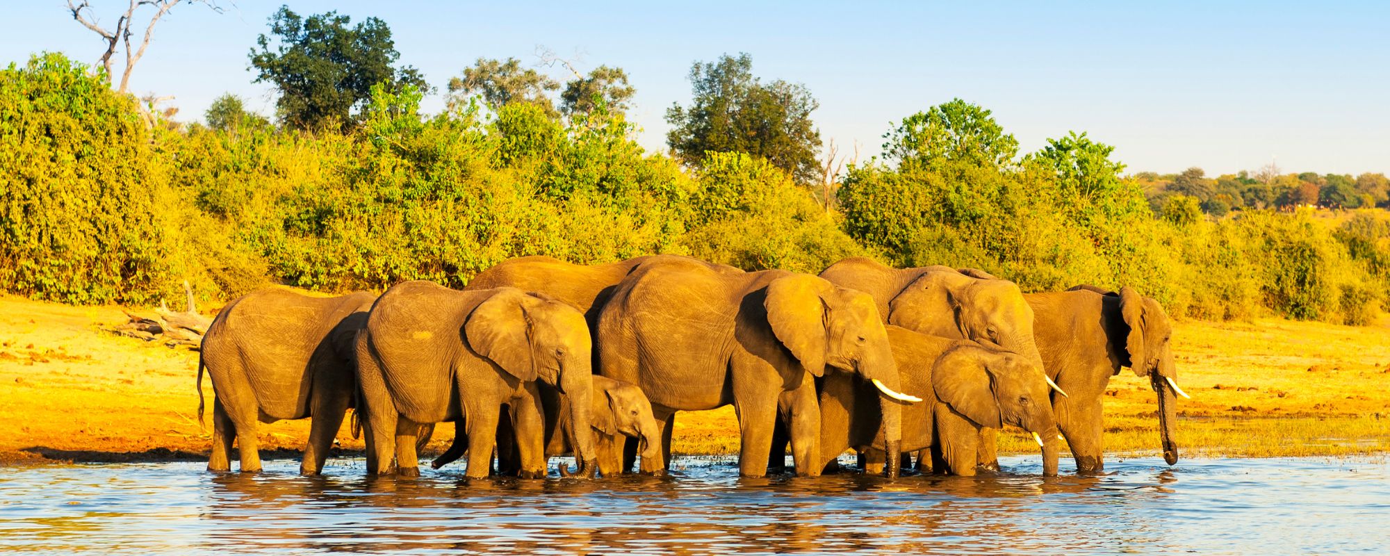 Sparwild African Tours and Safaris
