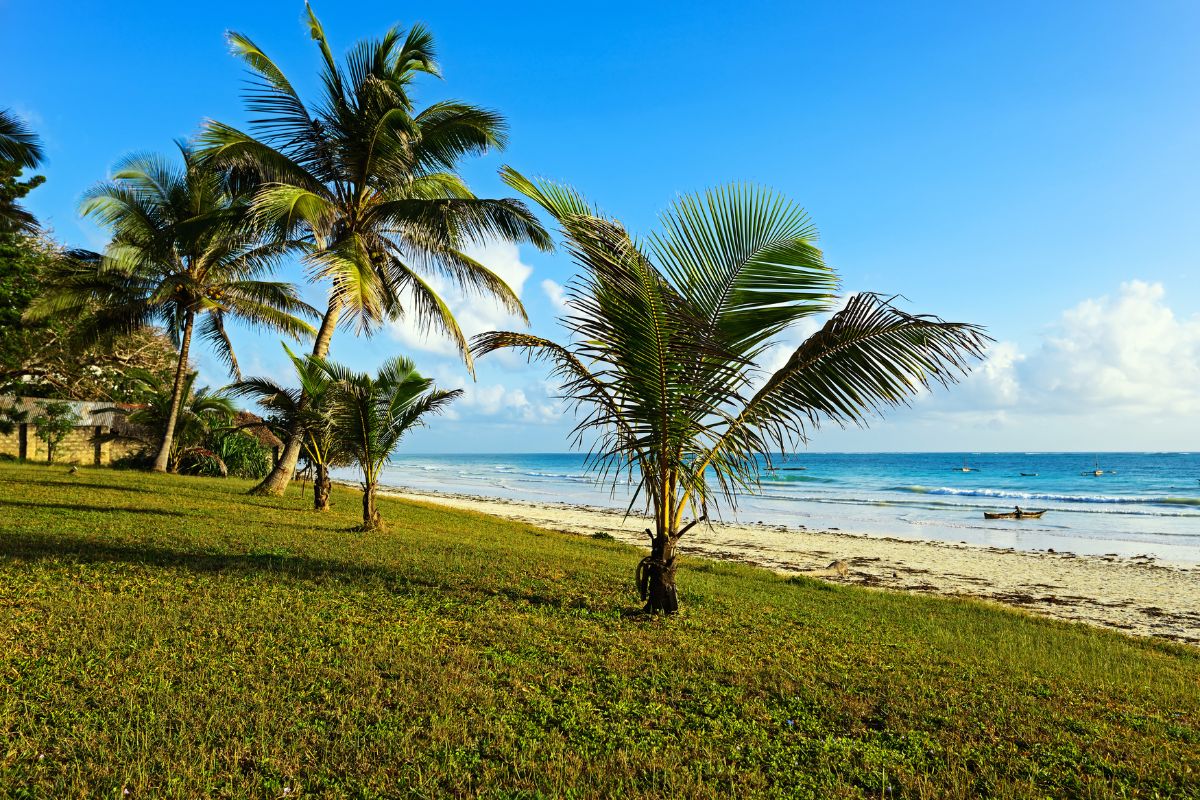 Sparwild African Tours and safaris