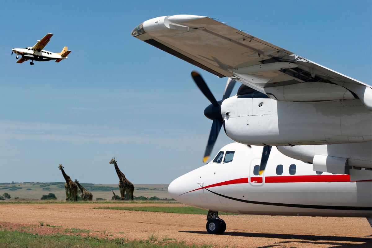 Sparwild African Tours and safaris-Best Tour operator in Kenya