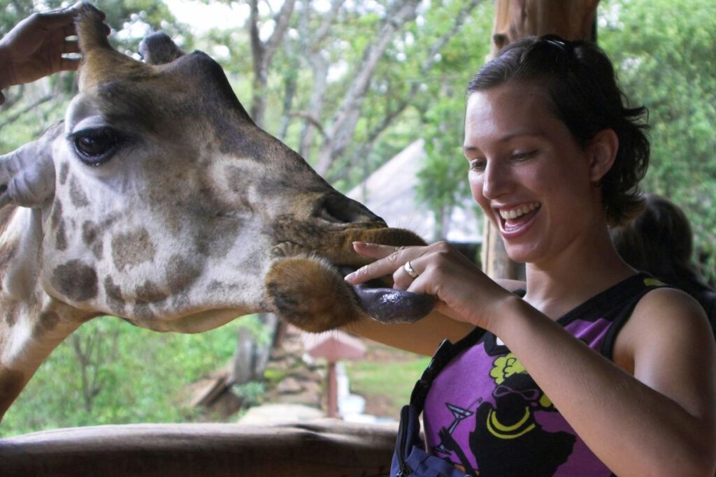 Sparwild Tours- Giraffe Centre – Nairobi