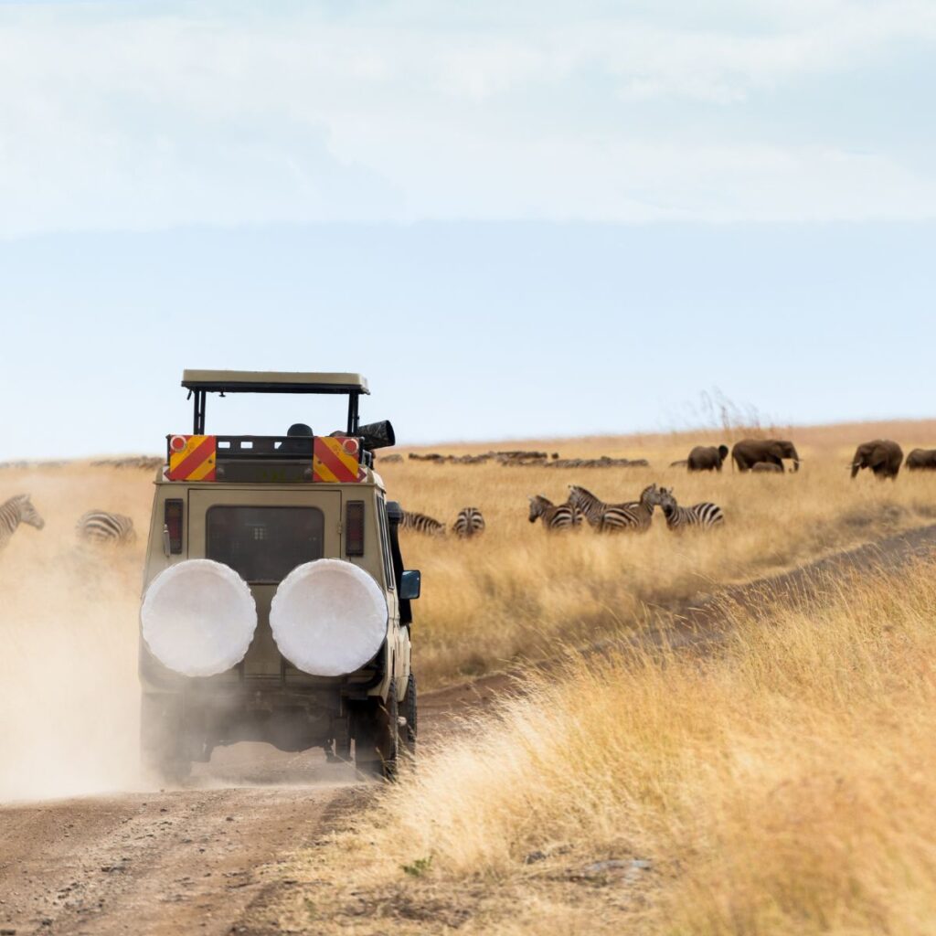 best tour operator in Kenya- SPARWILD