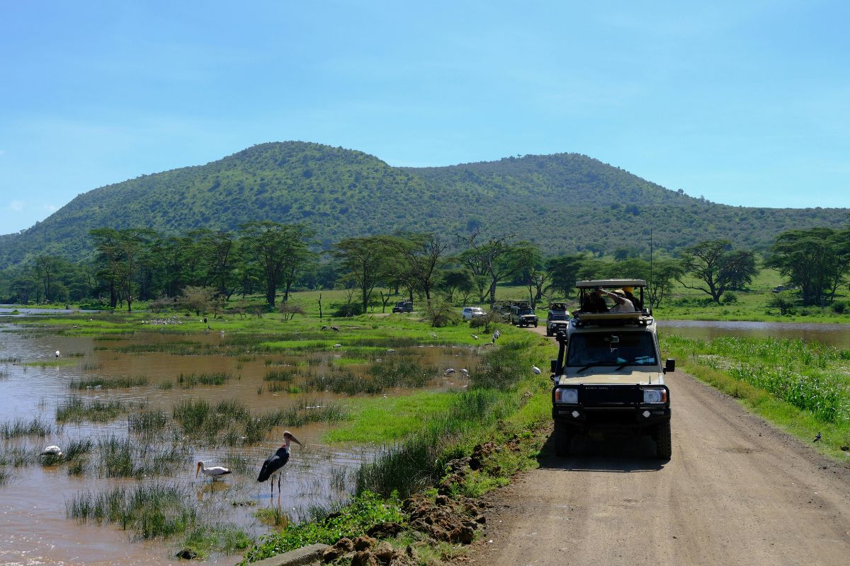 2 Days Lake Nakuru, Lake Naivasha, and Crescent Island Safari