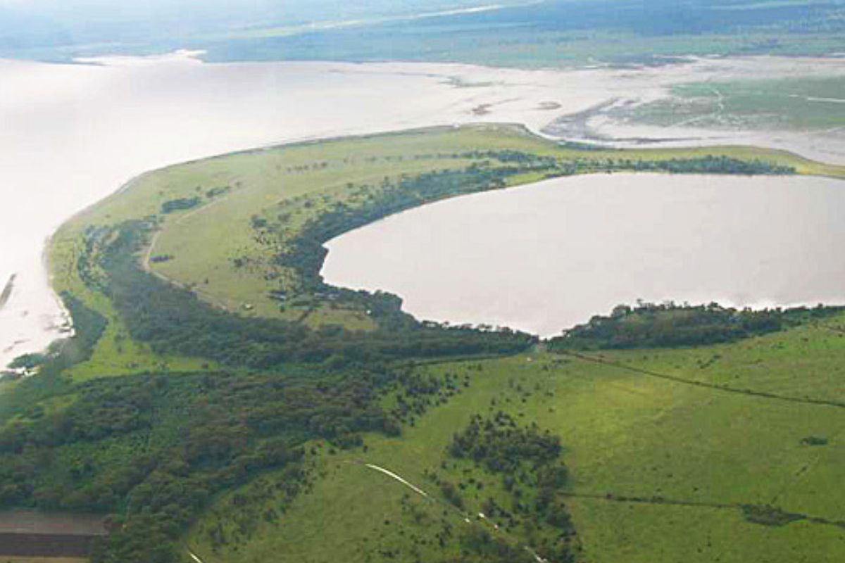 7 Day Big Five Kenya Safari Package