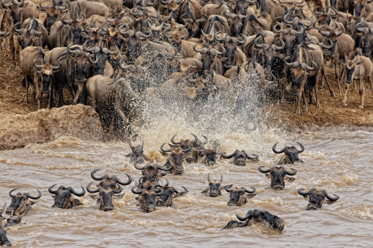 3 Days Masai Mara Safari from Nairobi