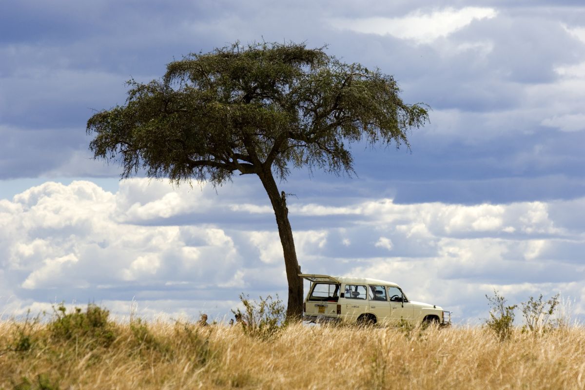 3 Days Masai Mara Safari from Nairobi