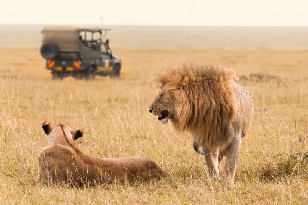 7 Day Big Five Kenya Safari Package