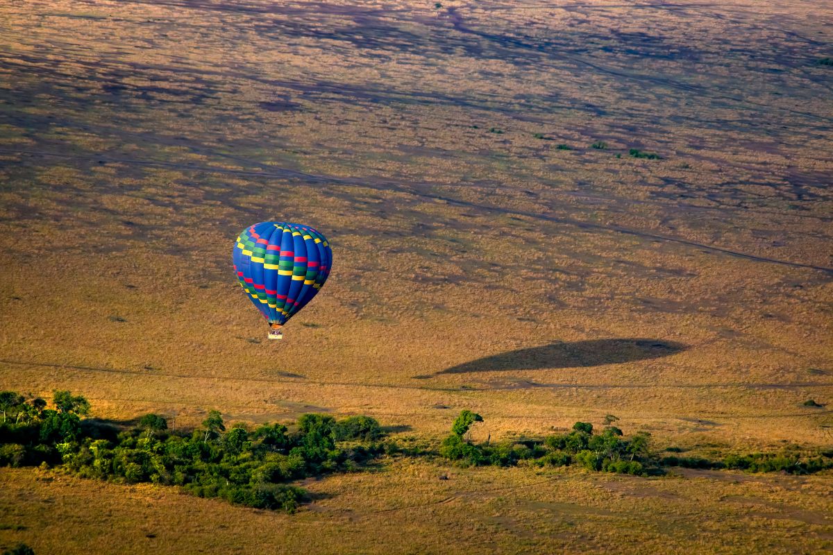 7 Day Big Five Kenya Safari Package