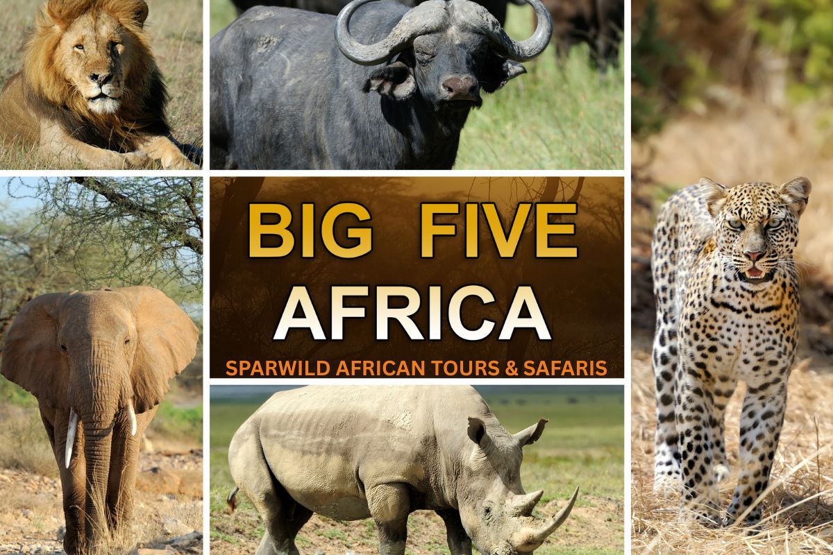 7 Day Big Five Kenya Safari Package