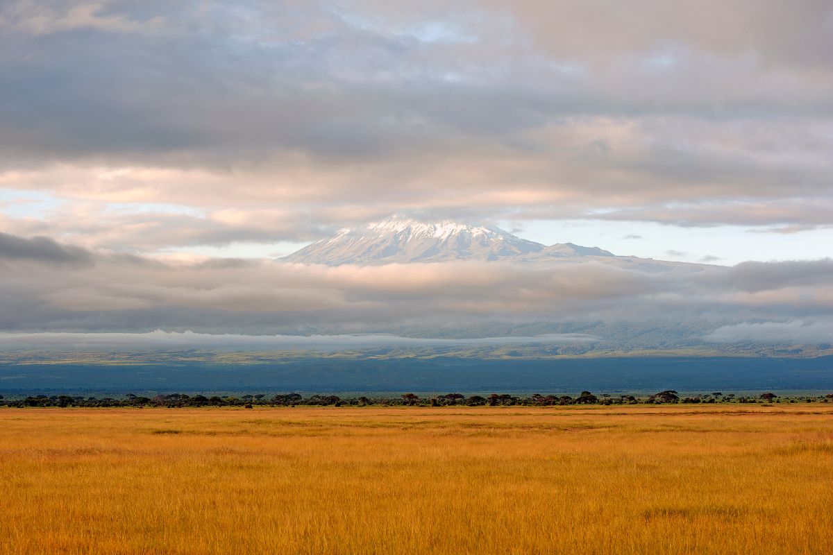 7 Day Kenya and Tanzania Safari Package