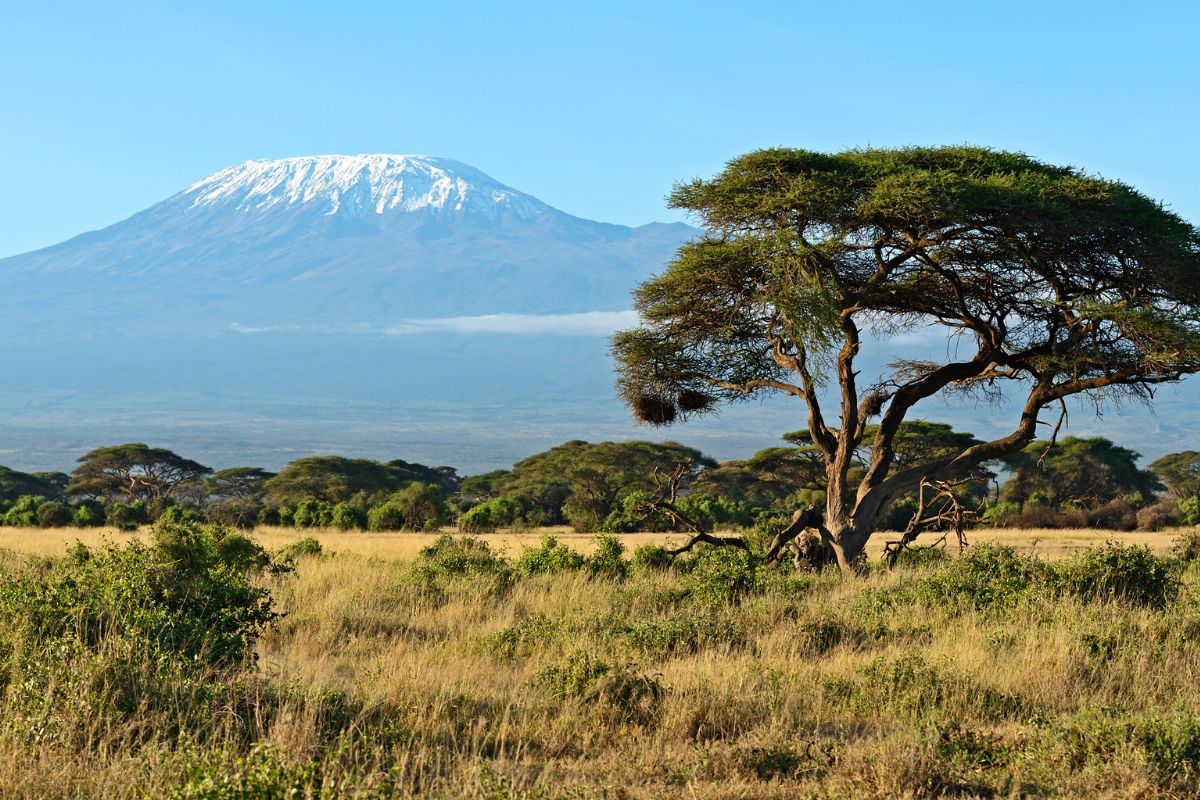7 Day Kenya and Tanzania Safari Package