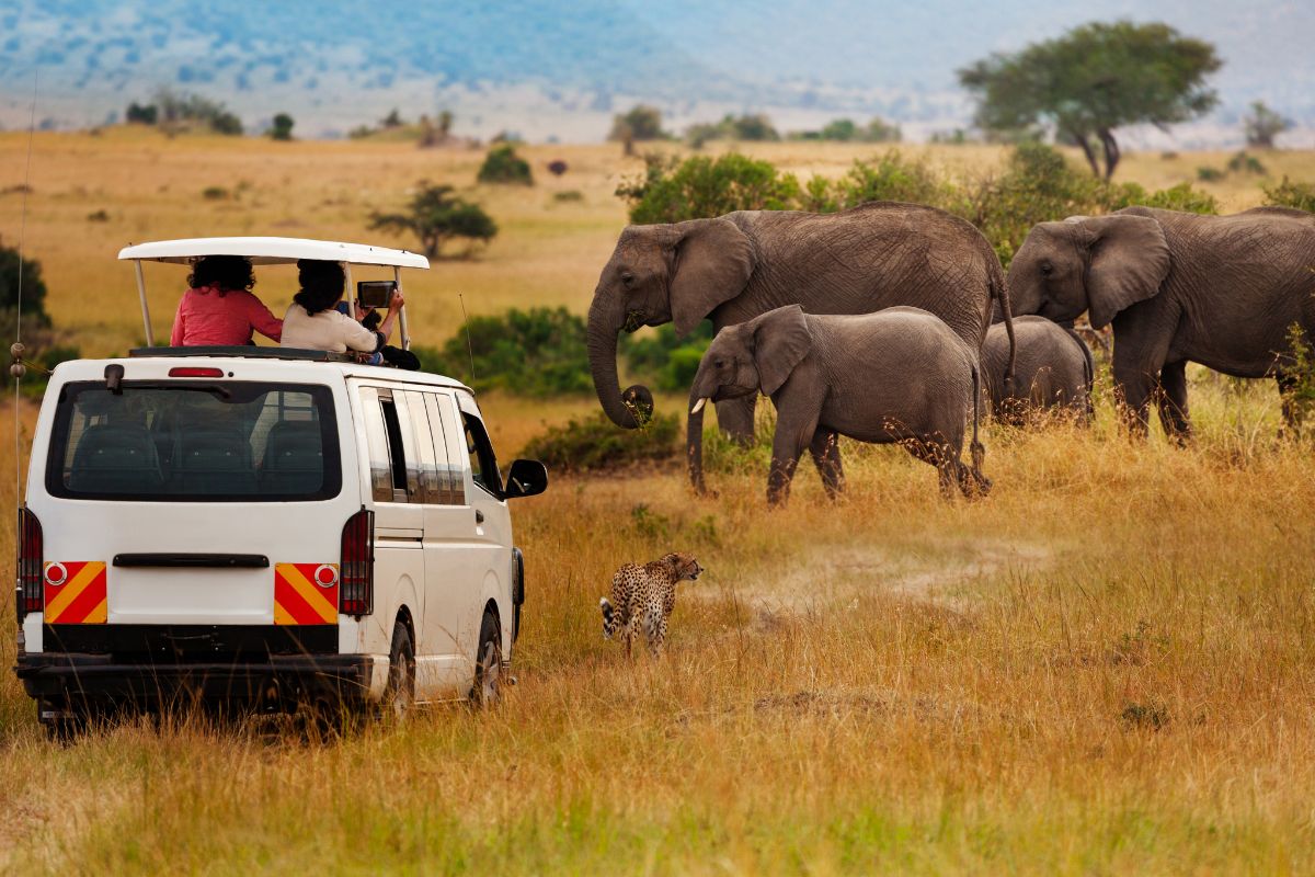 7 Day Kenya and Tanzania Safari Package