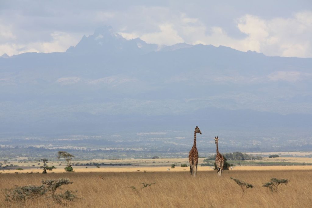 7-day Mount Kenya Climbing Safari