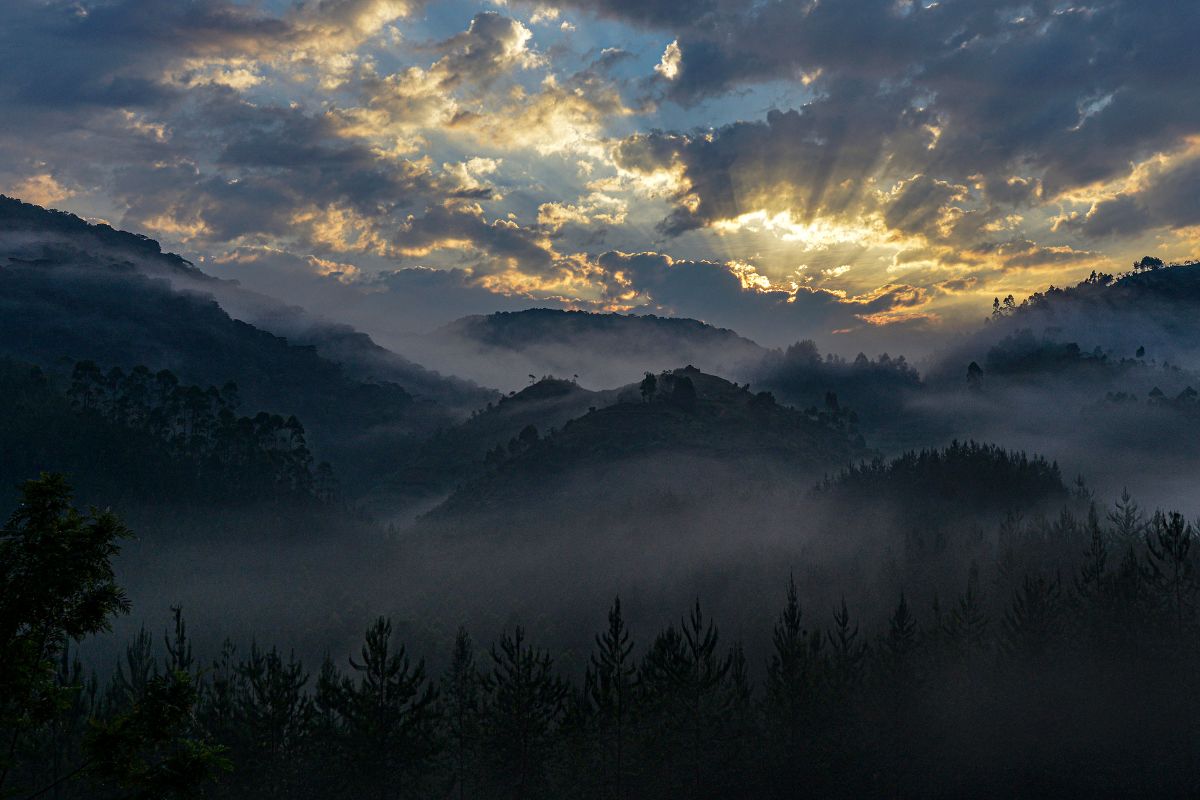 Bwindi Impenetrable National Park