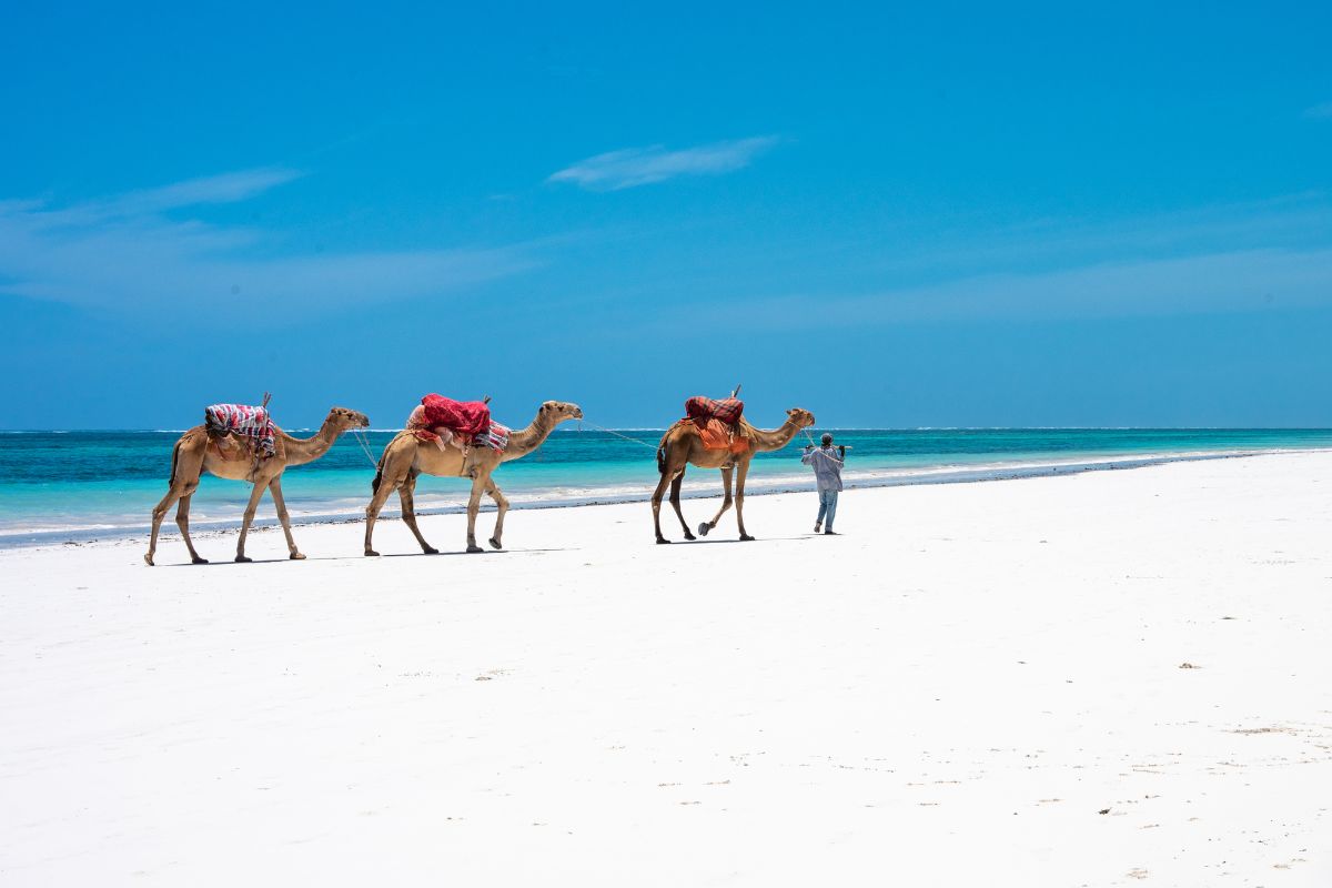 Diani Beach Tour Mombasa Kenya