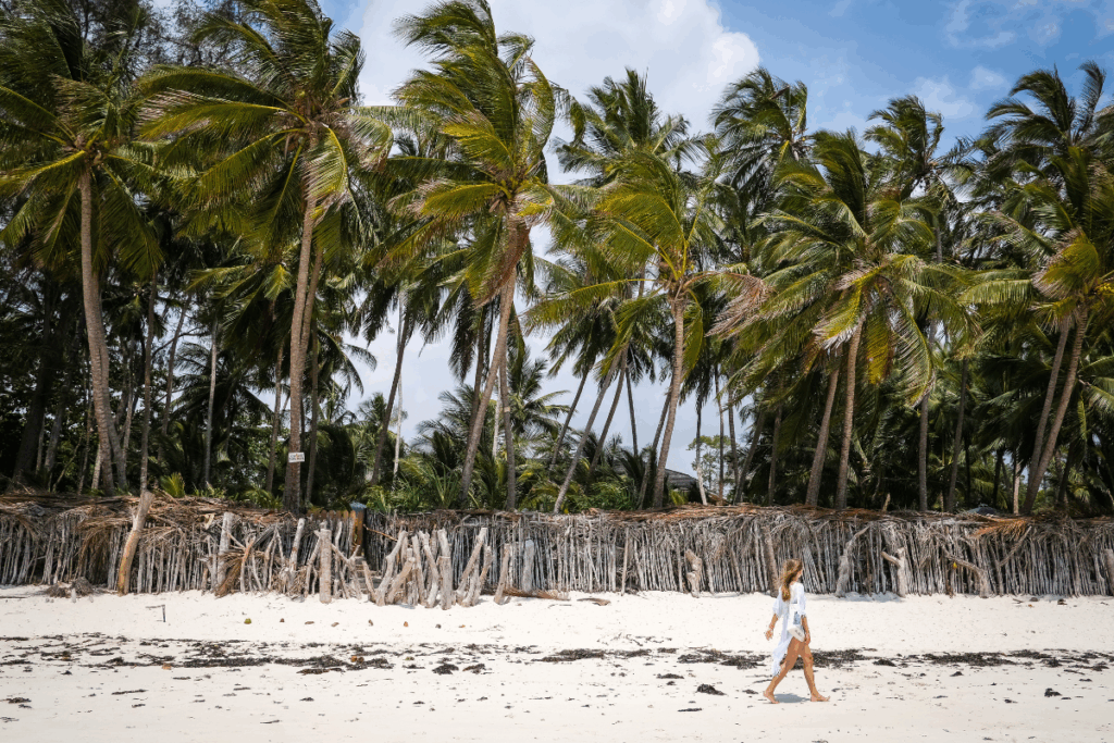 Diani Beach Tour Mombasa Kenya