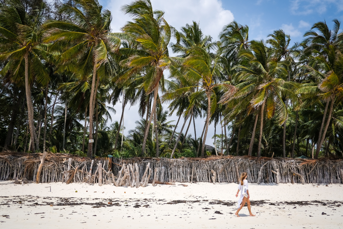 Diani Beach Tour Mombasa Kenya