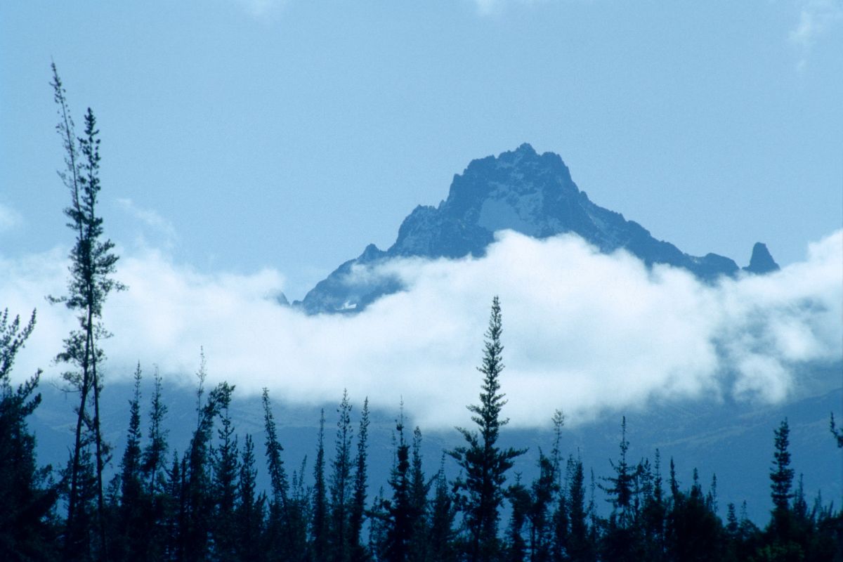 Mount Kenya Climbing Safari Packages