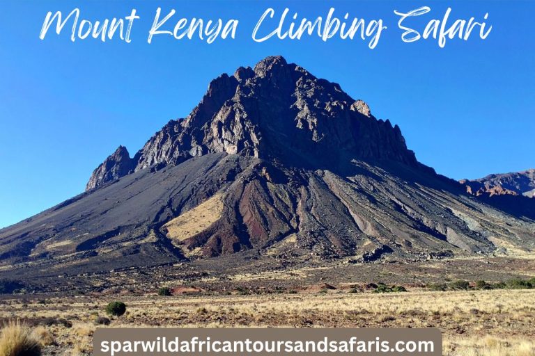 Mount Kenya Climbing Safari Packages