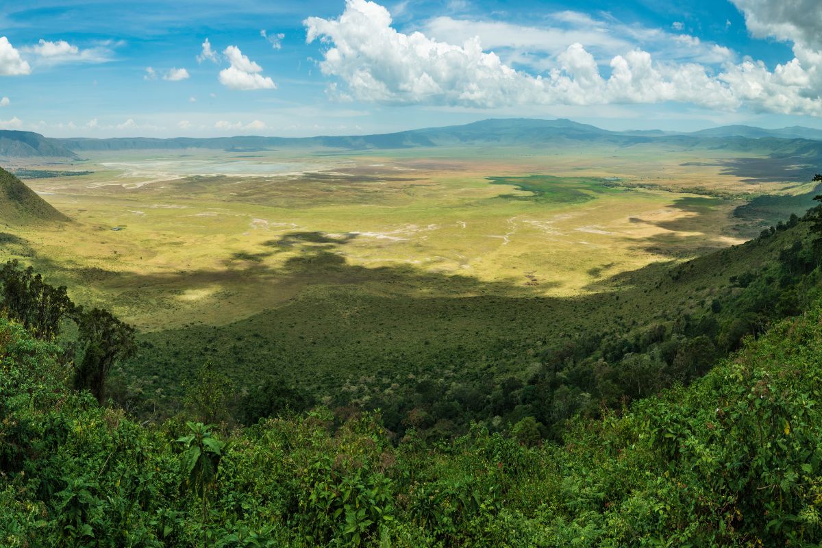 Ngorongoro Conservation Area safari