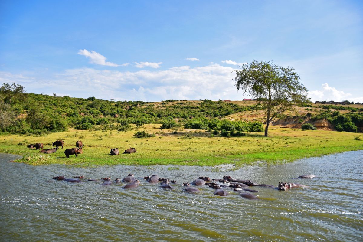 Queen Elizabeth National Park
