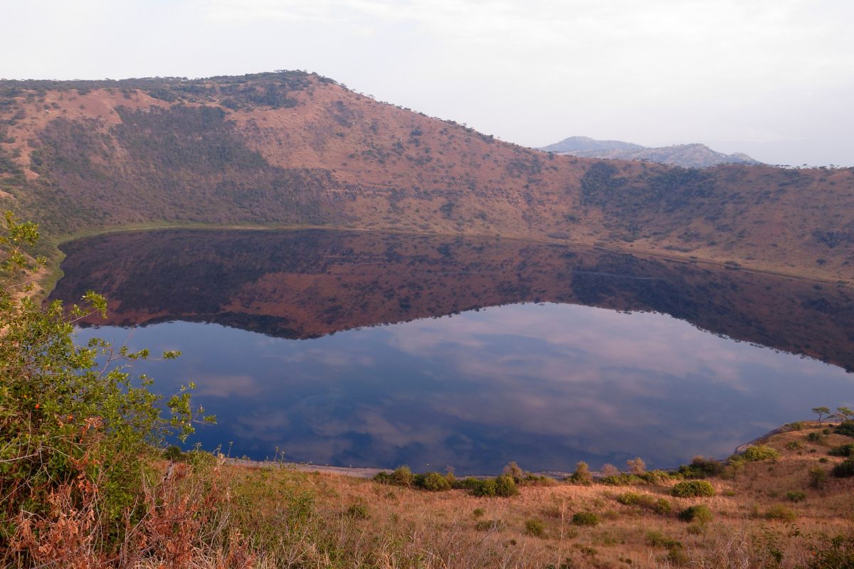 Queen Elizabeth National Park