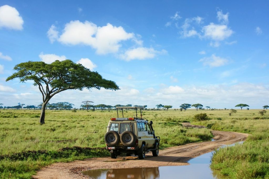 Trustworthy Safari Operator in Kenya