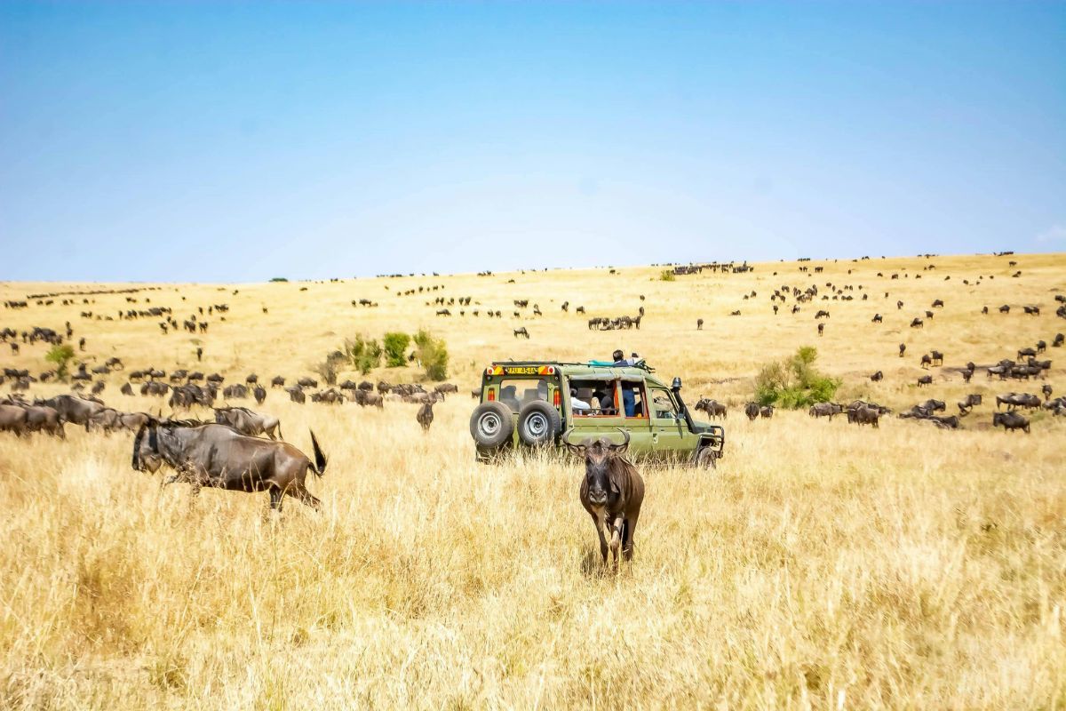 10-Day Kenya and Tanzania Safari Package