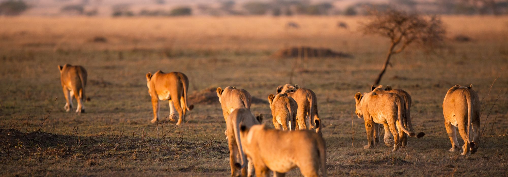 top destination to visit