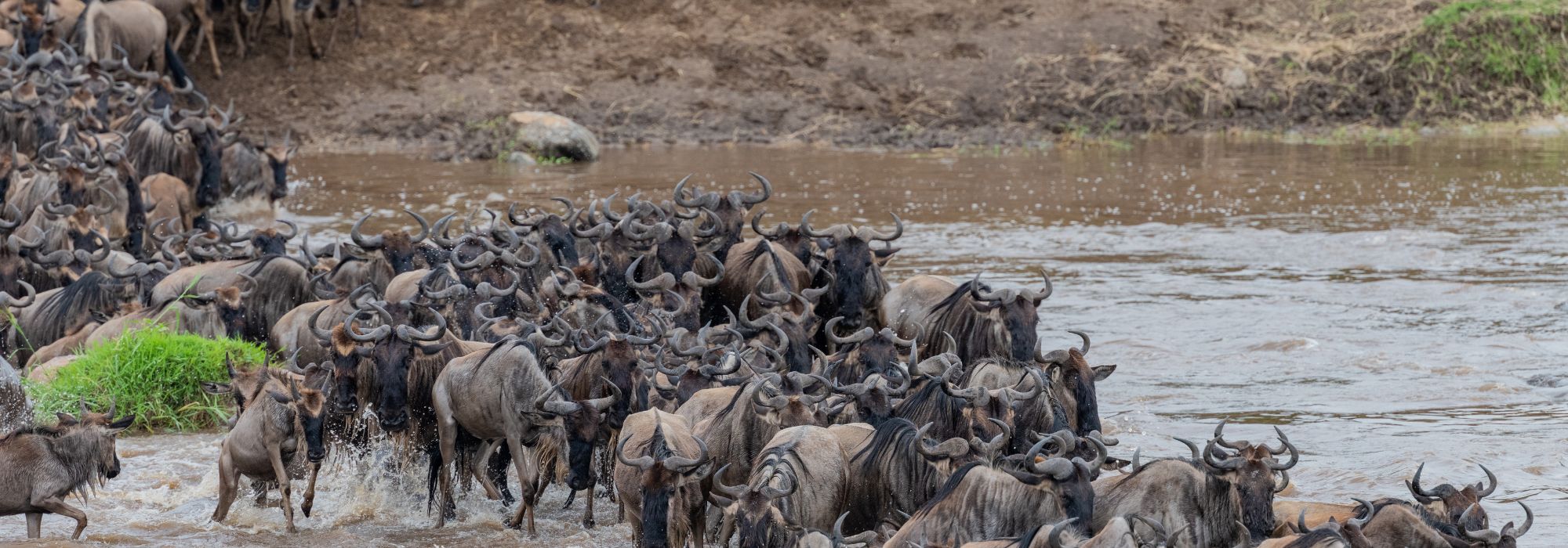 top destination to visit