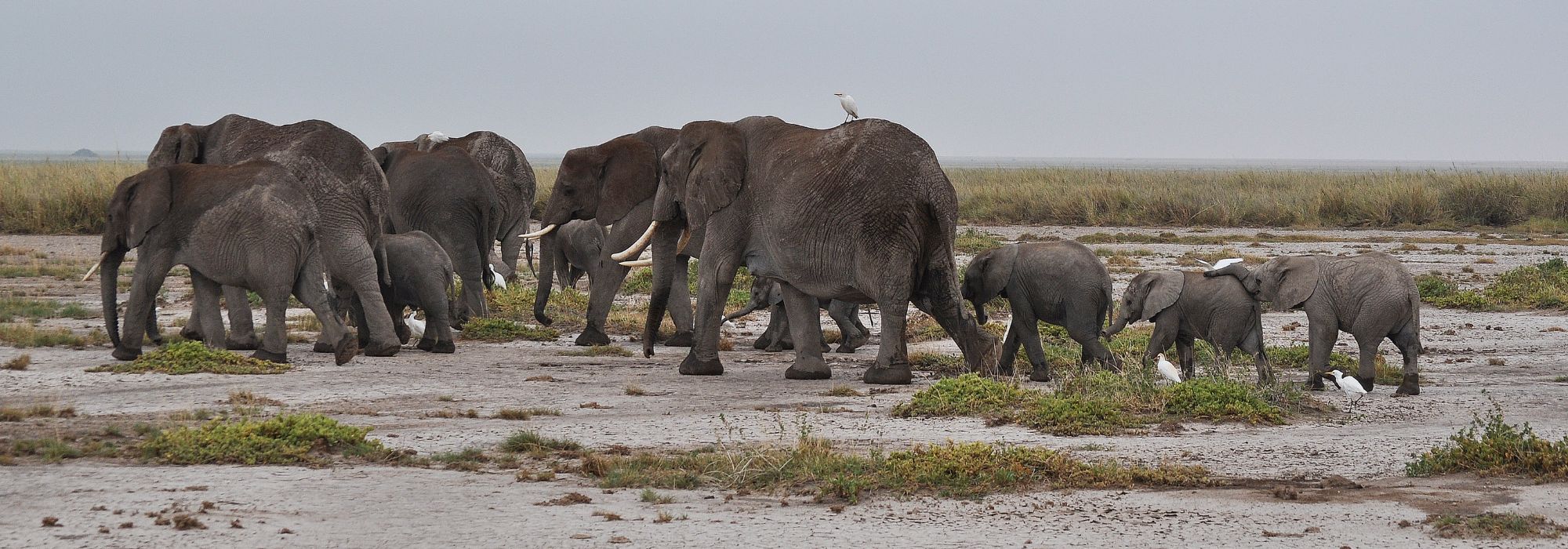 top destination to visit