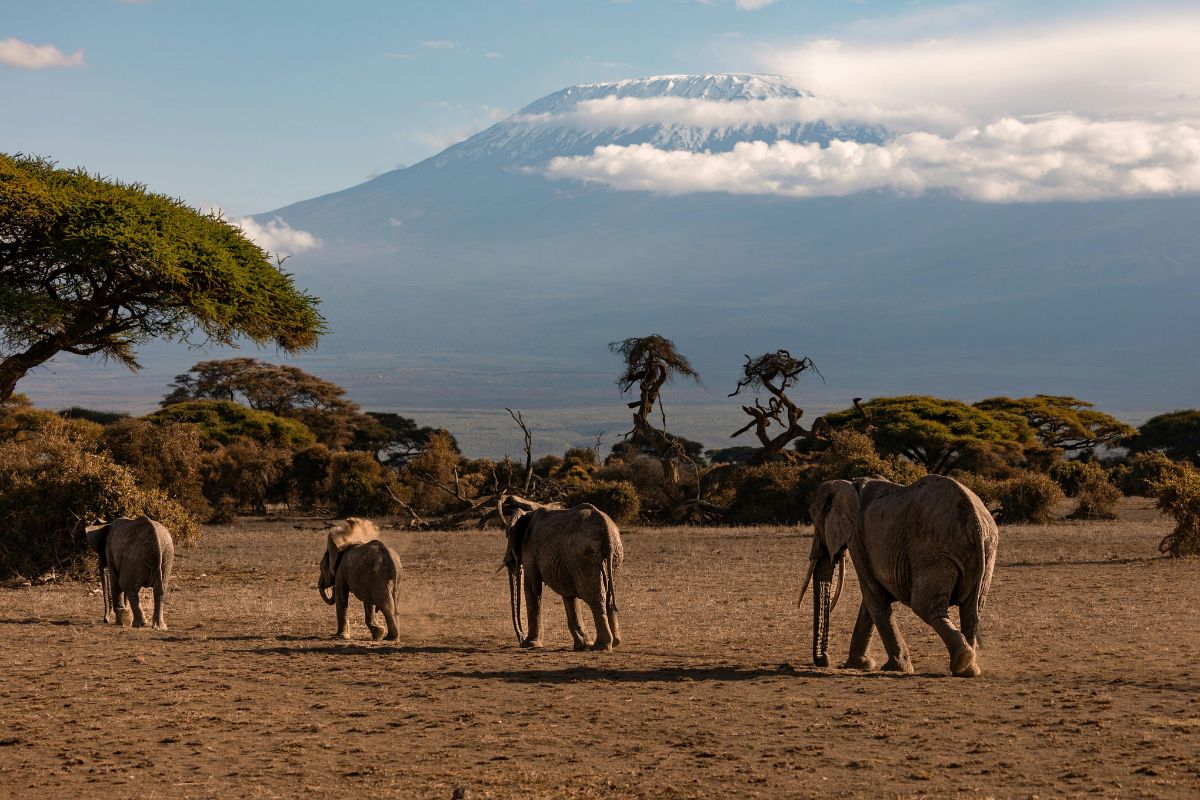 4 Days Amboseli and Tsavo Safari