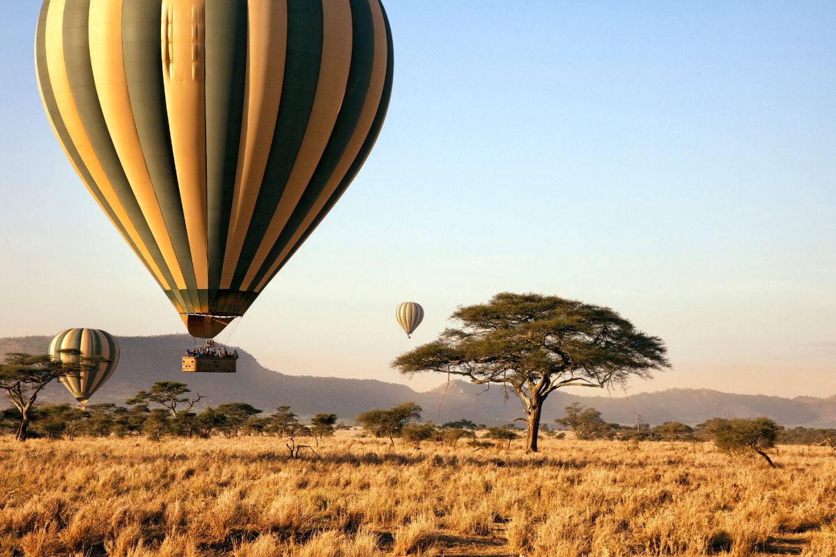 5-Day Tanzania Fly-In & Drive Safari