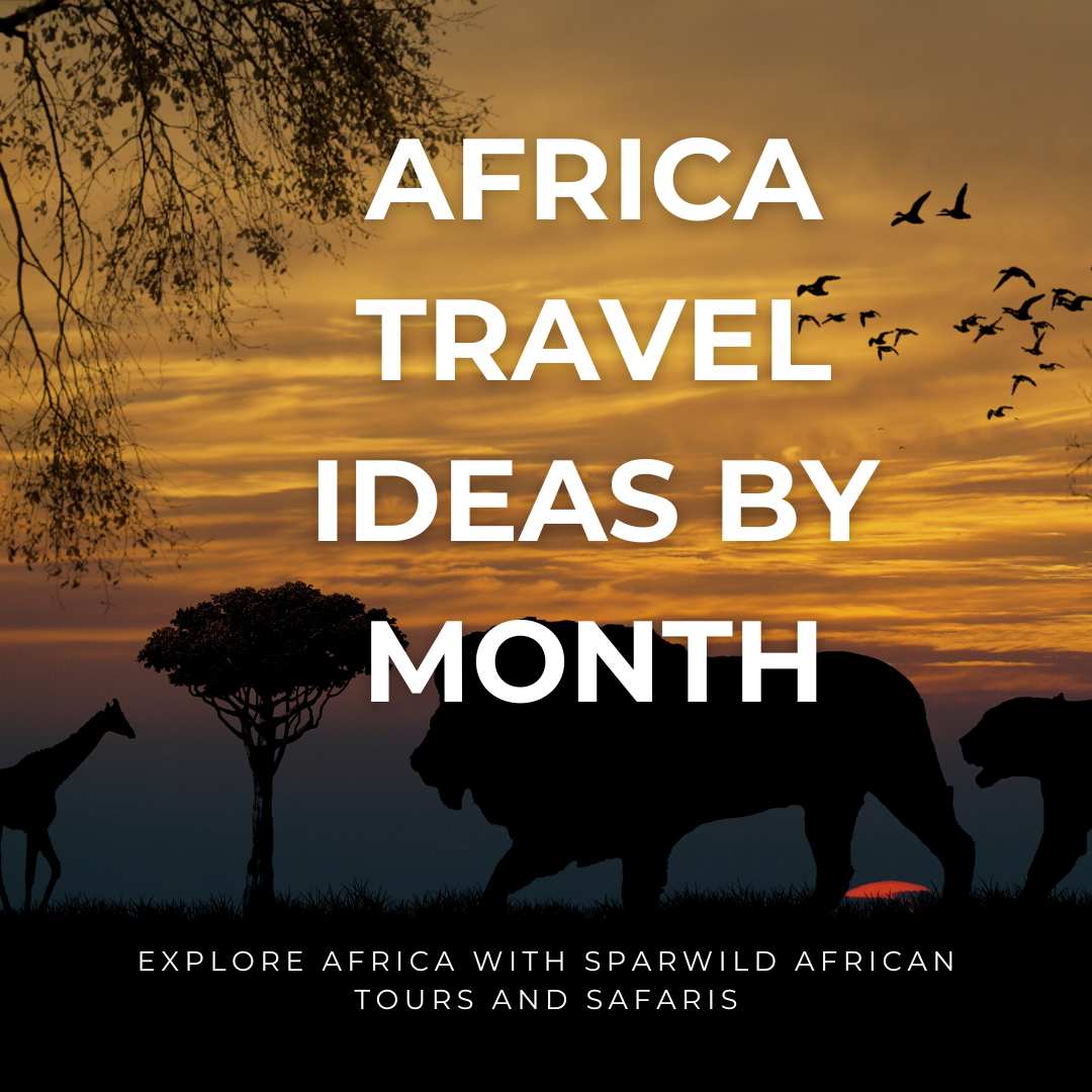 Africa Travel Ideas By Month