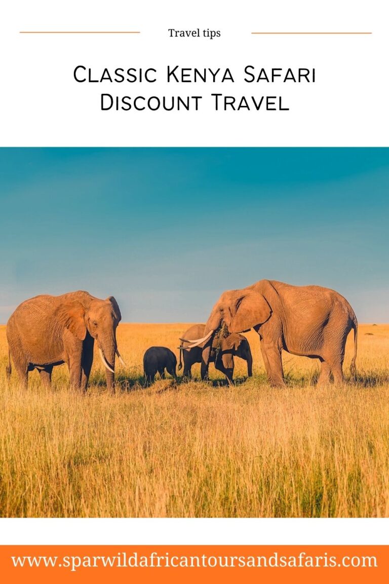 Classic Kenya Safari Discount Travel