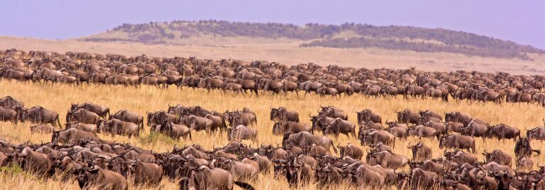 top destination to visit