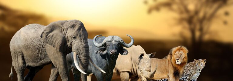 top destination to visit