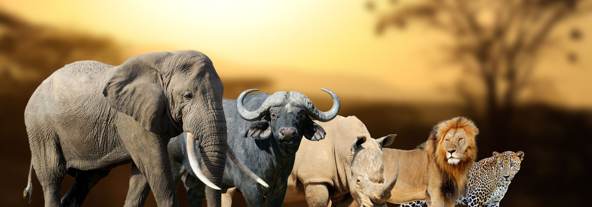 top destination to visit