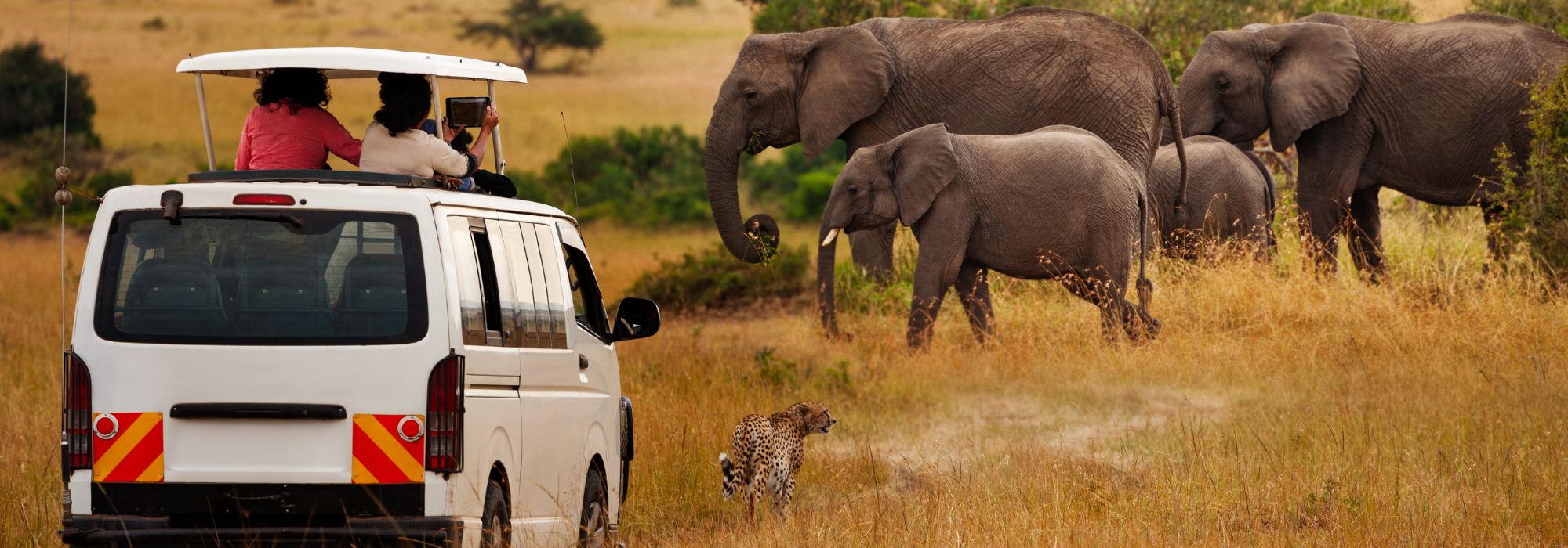 top destination to visit