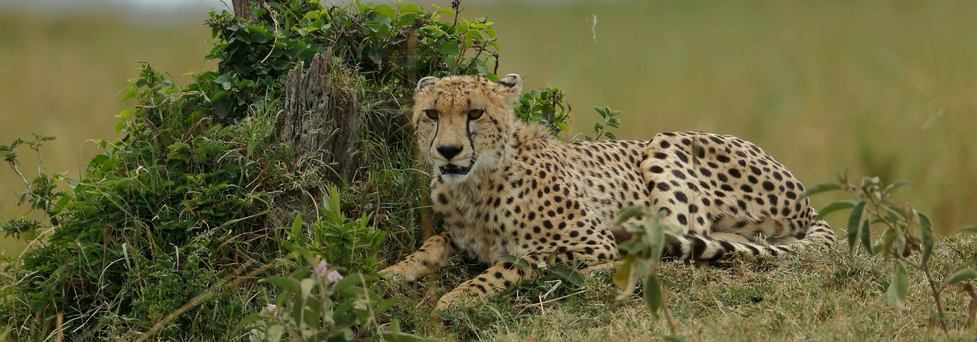 top destination to visit