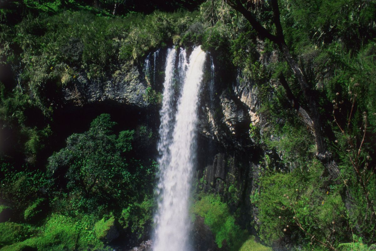Aberdare National Park